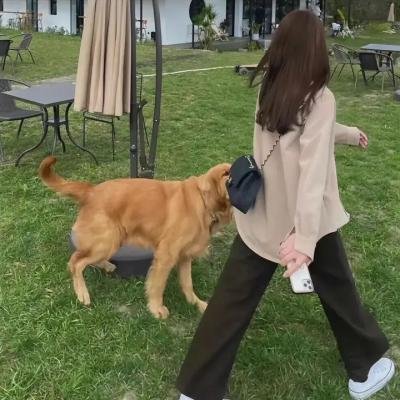 狄仁杰之飞头罗刹