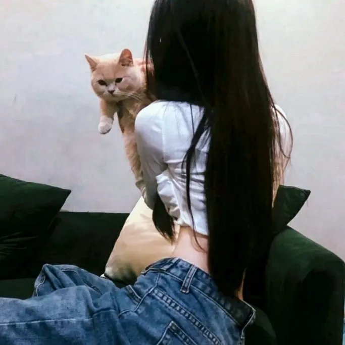 咱们裸熊第三季